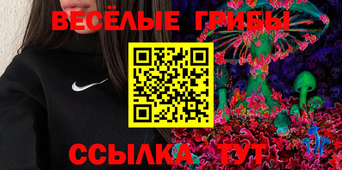 Псилоцибиновые грибы Psilocybe  Вход с VPN  Камышин 