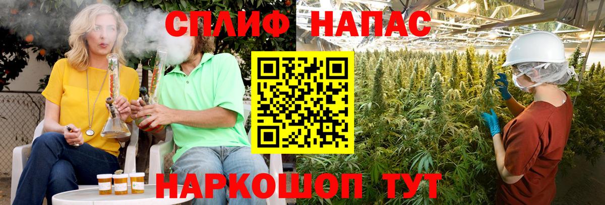 Камышин  Шишки марихуана Ganja  Шишки марихуана тримм  Бошки марихуана конопля  Вход с VPN  Конопля SATIVA & INDICA 